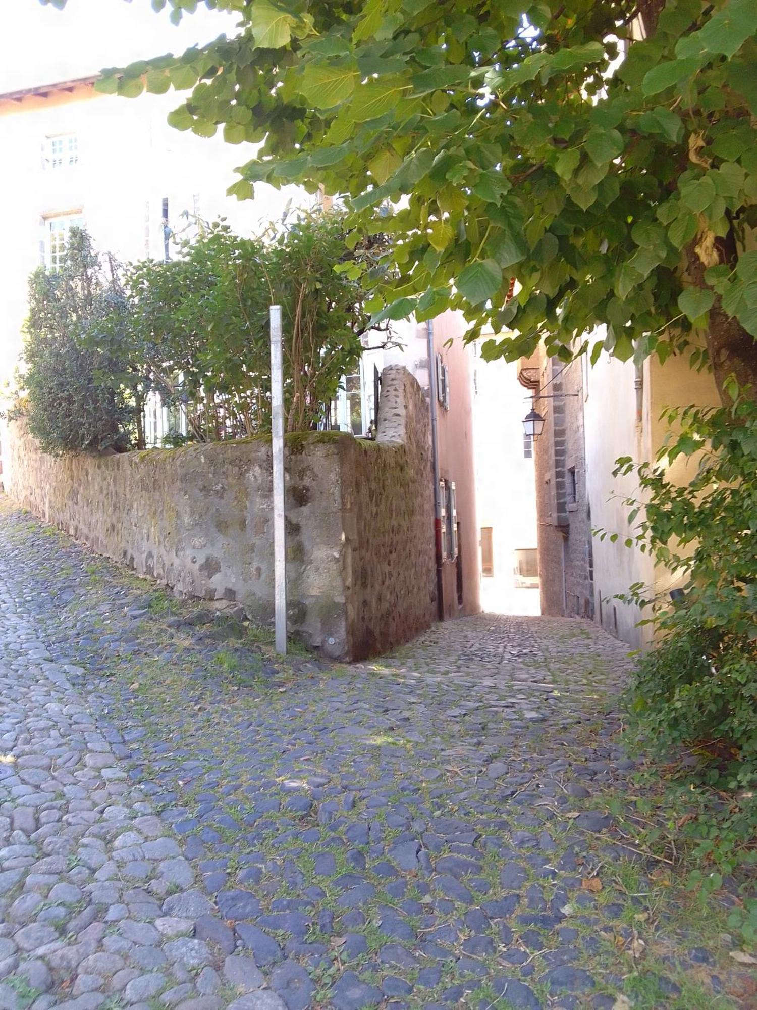 Le Relax Max Daire Le Puy-en-Velay Oda fotoğraf